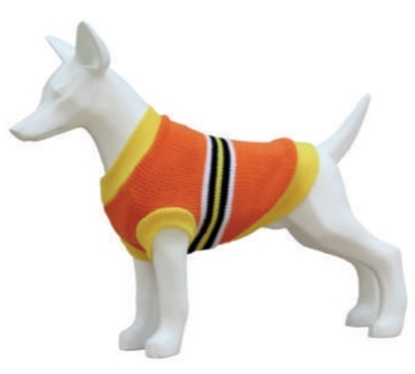 Picture of FREEDOG SWEATER STRIPES